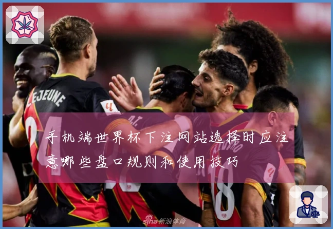 手机端世界杯下注网站选择时应注意哪些盘口规则和使用技巧