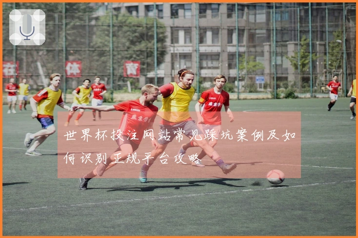 世界杯投注网站常见踩坑案例及如何识别正规平台攻略