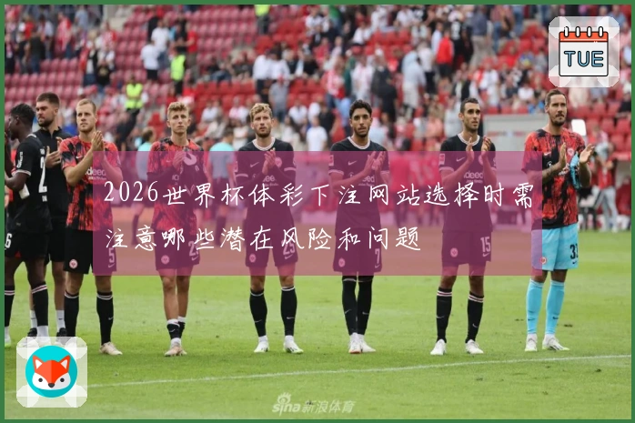 2026世界杯体彩下注网站选择时需注意哪些潜在风险和问题