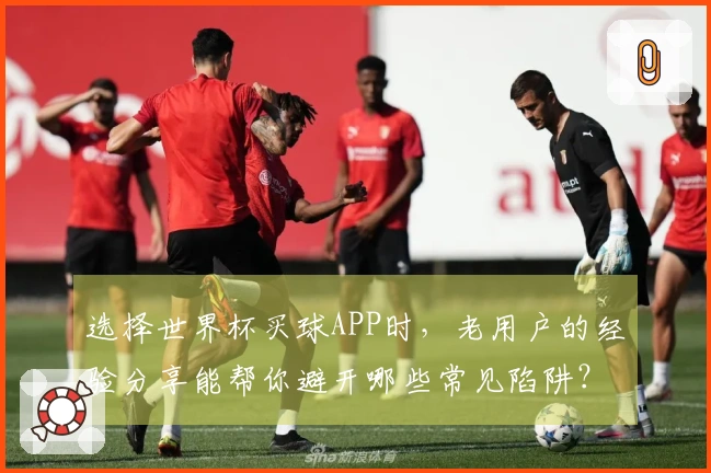 选择世界杯买球APP时，老用户的经验分享能帮你避开哪些常见陷阱？