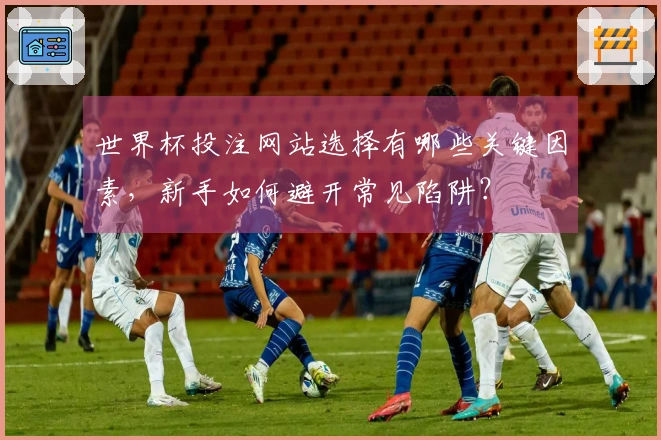 世界杯投注网站选择有哪些关键因素，新手如何避开常见陷阱？