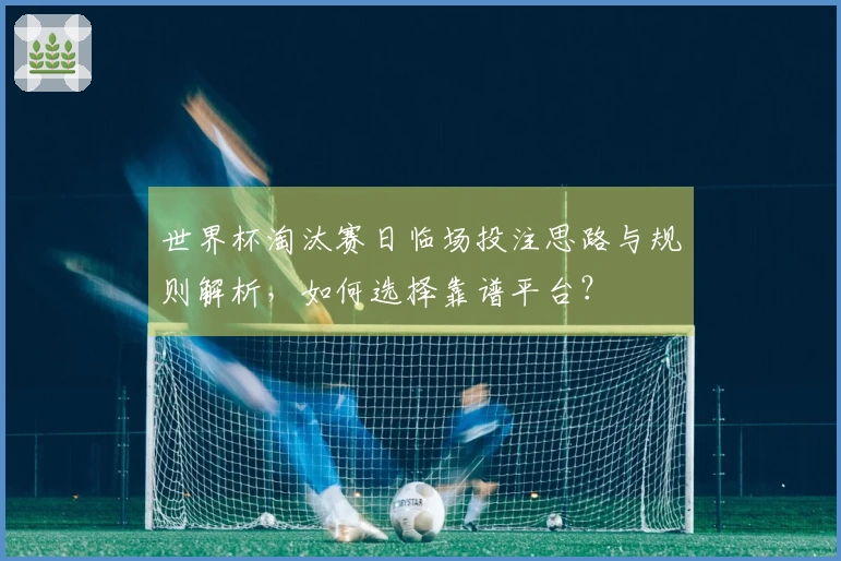 世界杯淘汰赛日临场投注思路与规则解析，如何选择靠谱平台？