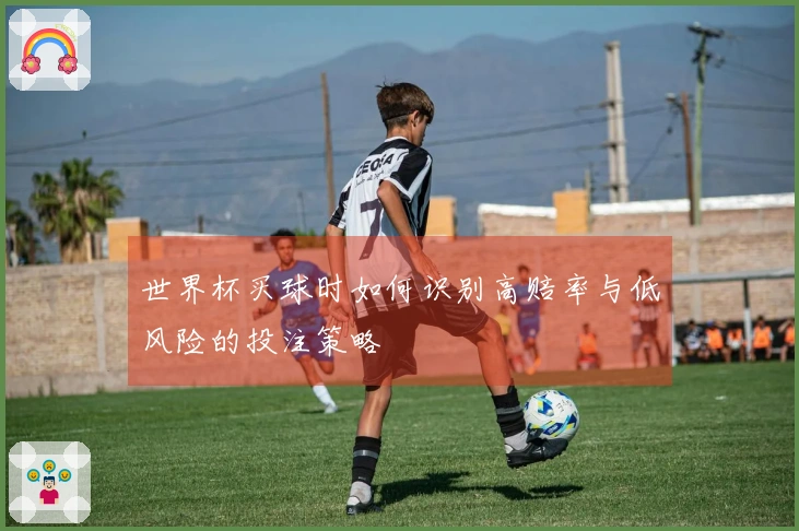 世界杯买球时如何识别高赔率与低风险的投注策略