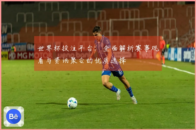 世界杯投注平台：全面解析赛事观看与资讯聚合的优质选择