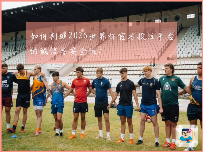 如何判断2026世界杯官方投注平台的诚信与安全性？