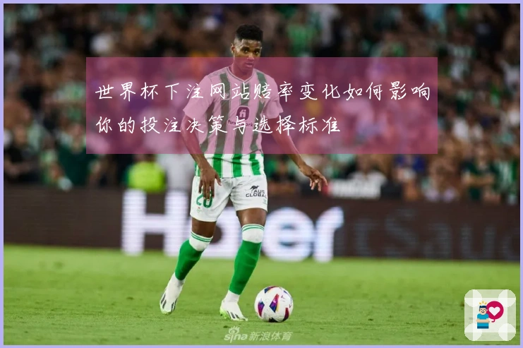 世界杯下注网站赔率变化如何影响你的投注决策与选择标准