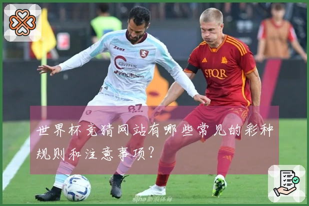 世界杯竞猜网站有哪些常见的彩种规则和注意事项？