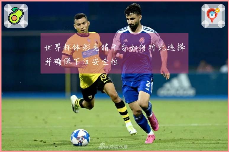 世界杯体彩竞猜平台如何对比选择并确保下注安全性