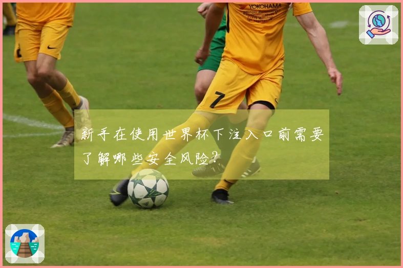新手在使用世界杯下注入口前需要了解哪些安全风险？
