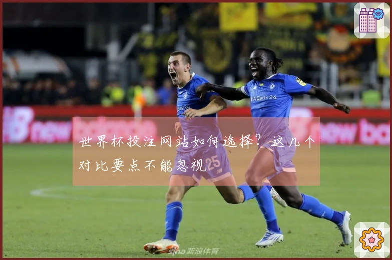 世界杯投注网站如何选择？这几个对比要点不能忽视
