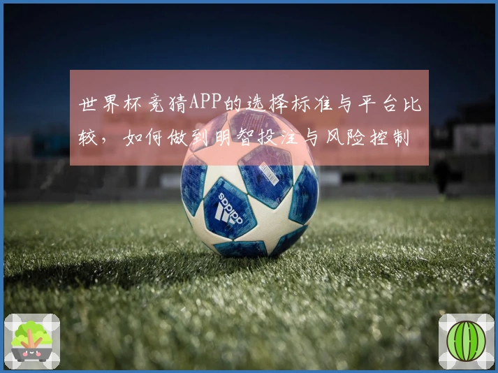 世界杯竞猜APP的选择标准与平台比较，如何做到明智投注与风险控制