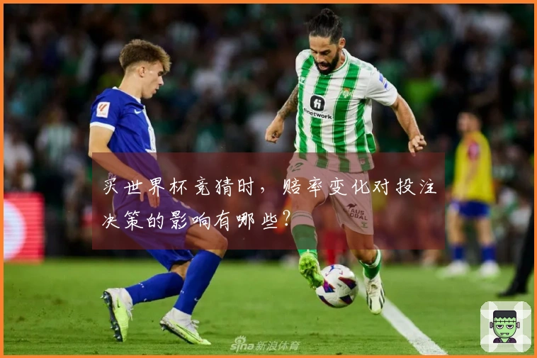 买世界杯竞猜时，赔率变化对投注决策的影响有哪些？