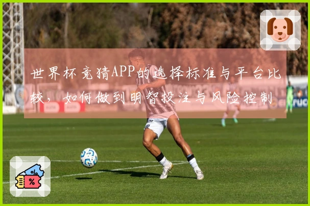 世界杯竞猜APP的选择标准与平台比较，如何做到明智投注与风险控制