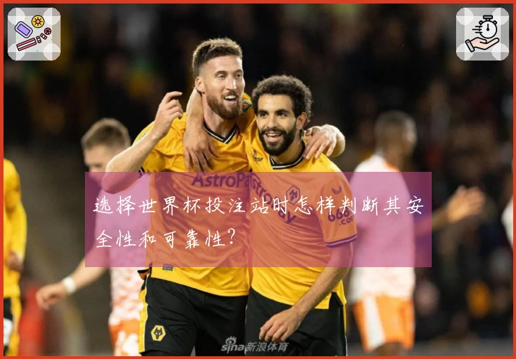 选择世界杯投注站时怎样判断其安全性和可靠性？