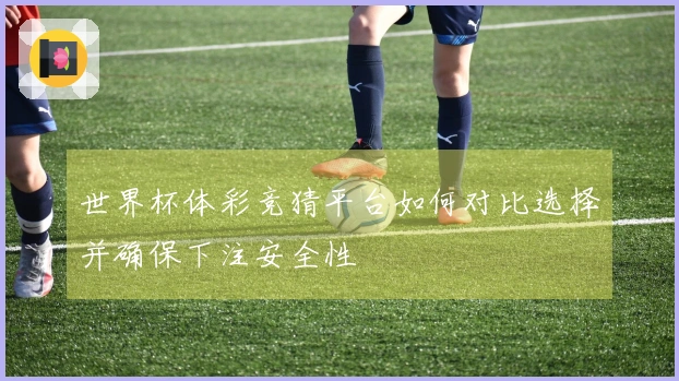 世界杯体彩竞猜平台如何对比选择并确保下注安全性